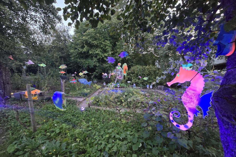 Bunte, leuchtende Fische und ein Seepferdchen aus Kunststoff schweben über einem Garten mit Pflanzen und Bäumen im Hintergrund.